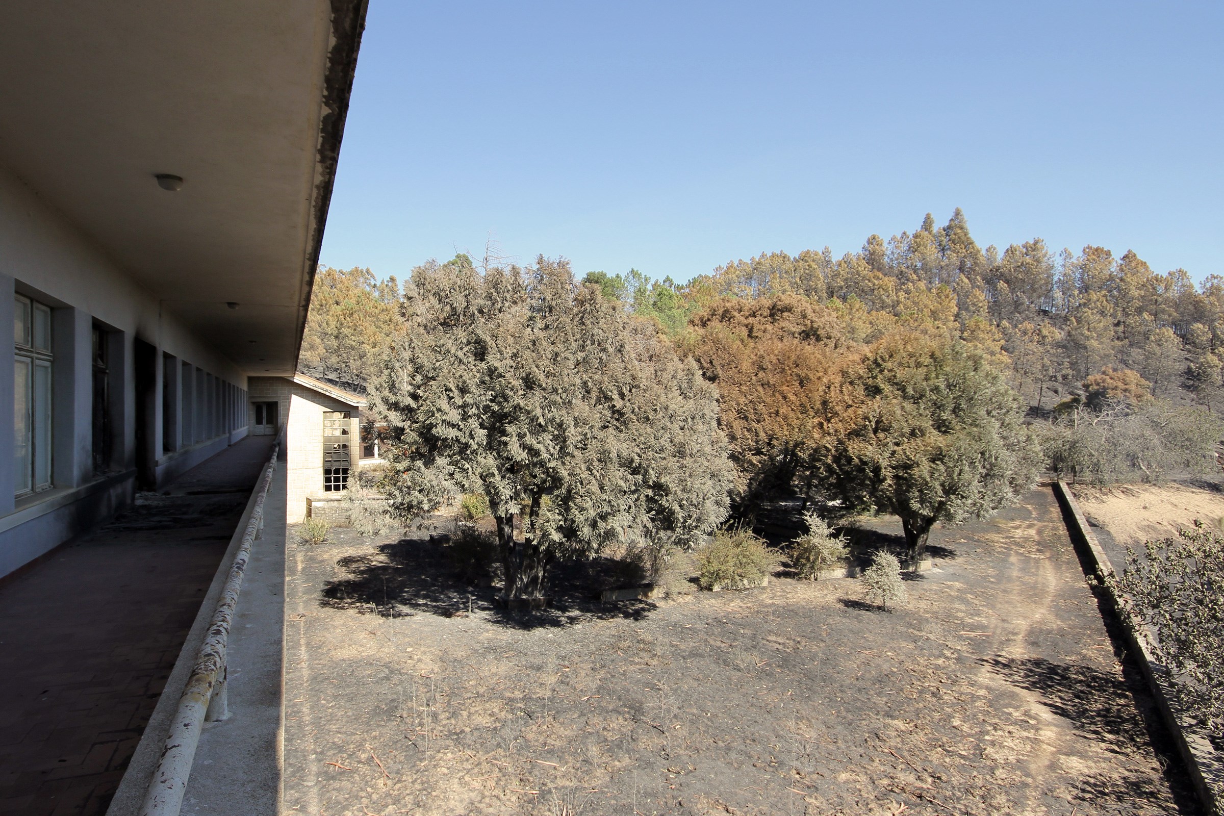 Colónia de férias de média altitude da Serra da Gardunha (após o incêndio de agosto 2017) © Pedro Seixo Rodrigues
